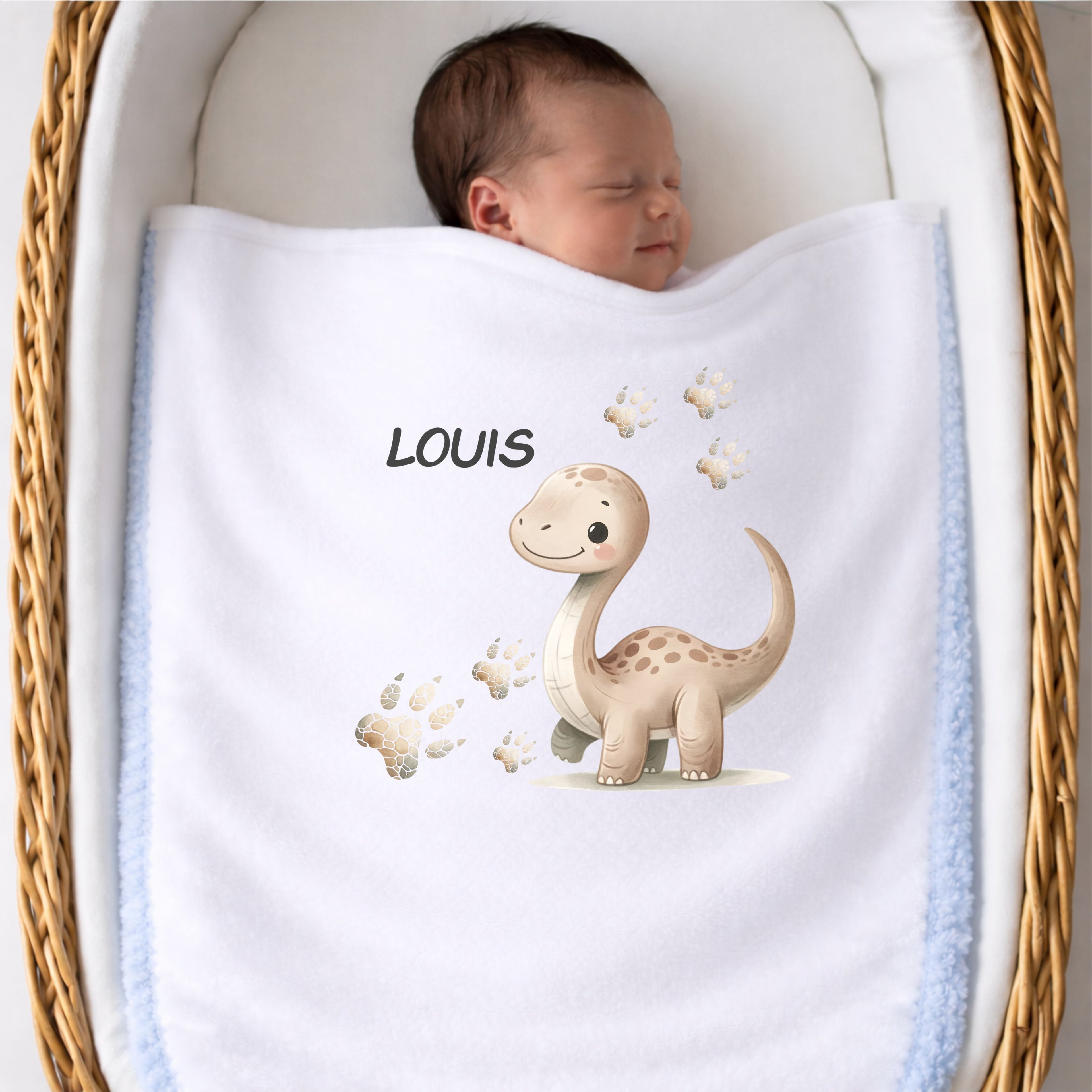 Personalisierte Babydecke mit Namen Dino Kuscheldecke aus weichem Plüsch liebevoll gestaltet